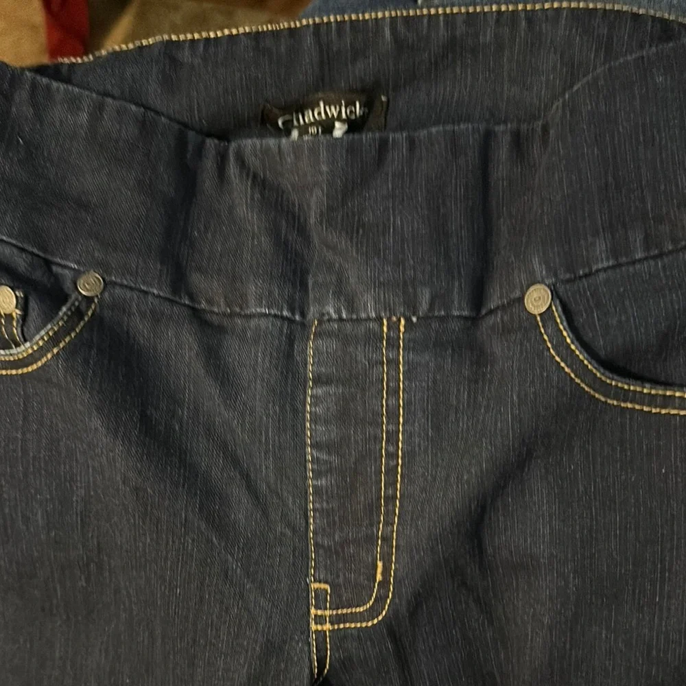Chadwicks Classic Blue Pull-up Jeans Timeless  Size 10T - Picture 6 of 6